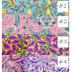 Kaffe X Morris 1/2 meter